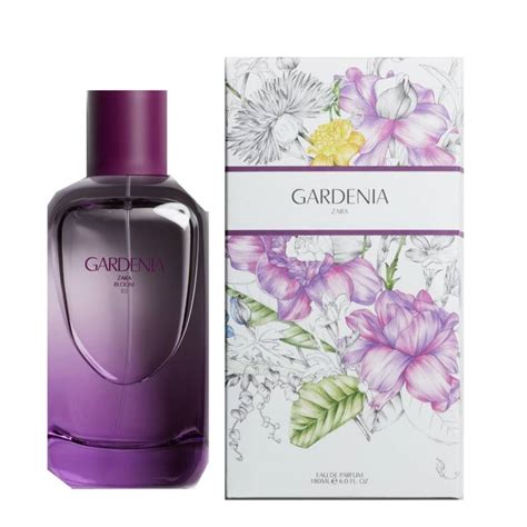 zara gardenia perfume price in pakistan|zara gardenia eau de parfum.